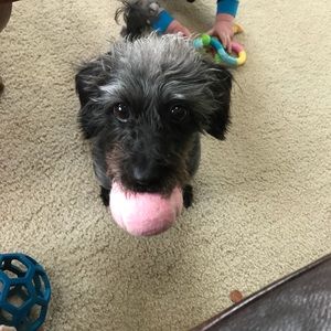 Meet your Posher, Angela